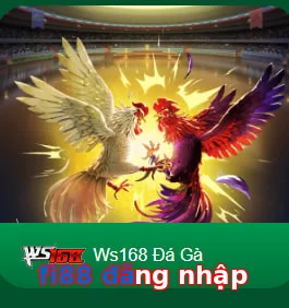 fi88 đăng nhập